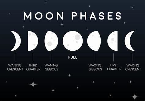 Vector Flat Moon Phases Icons 109549 Vector Art at Vecteezy