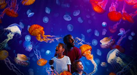 Visit the SEA LIFE London Aquarium today! | SEA LIFE London