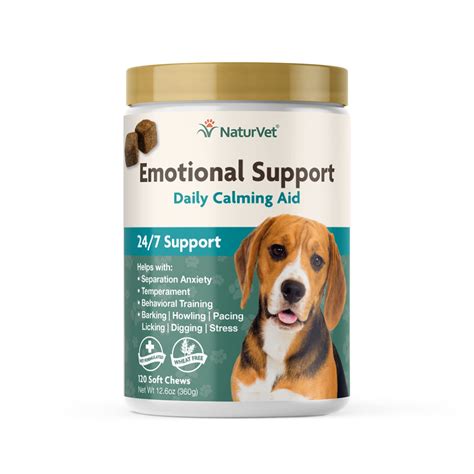 How Do Emotional Support Dogs Help With Anxiety