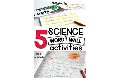 Science Word Wall Ideas | Science word wall, Science words, Winter writing prompts