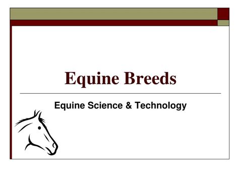 PPT - Equine Breeds PowerPoint Presentation, free download - ID:5423202