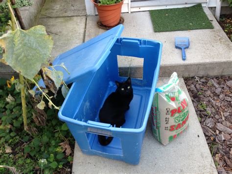 How To Make a Low-Cost Outdoor Cat Litter Box - Cats In My Yard