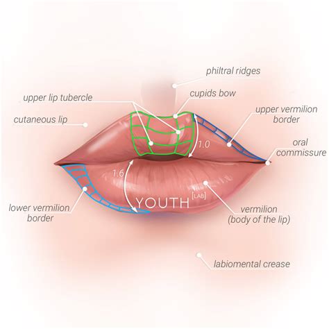 The Perfect Lip - Youth Lab, West Perth