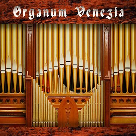 Best Service Organum Venezia Pipe Organ - Virtual 1133-47 B&H