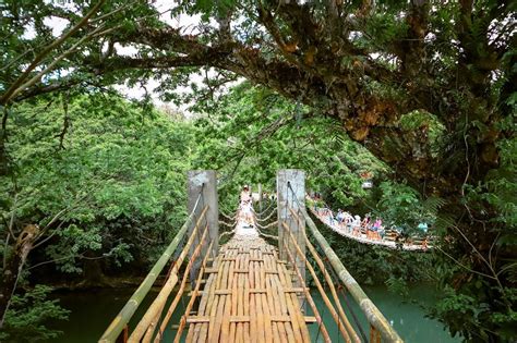 Bamboo Hanging Bridge, Bohol - what you need to know - Daily Travel Pill