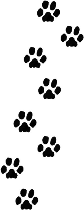 Paw Print Trail Clipart - Transparent Dog Paw Print - (321x760) Png Clipart Download