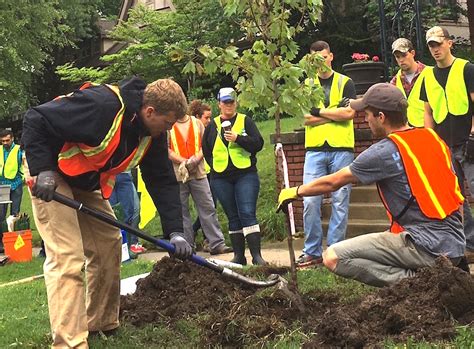 Volunteer to help plant trees this fall - Greenability Magazine