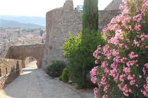 Castle of Cardona in Cardona | Expedia.co.uk