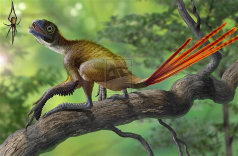 A Dinosaur A Day: Epidexipteryx hui