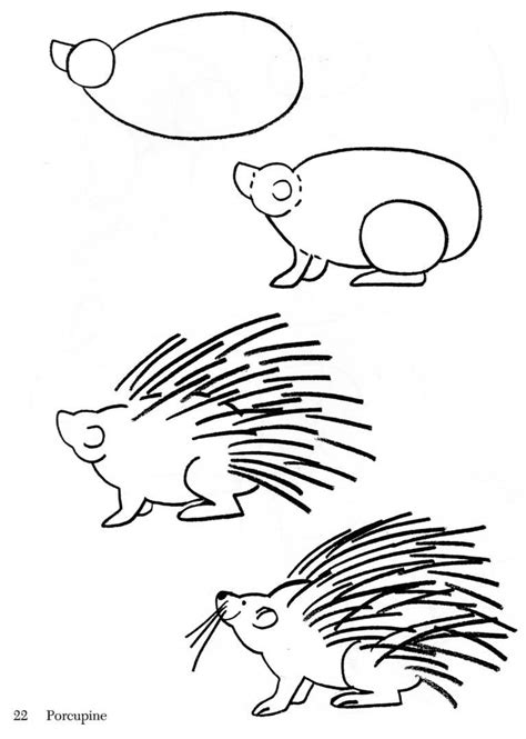 porcupine drawing - Google Search | Animal drawings, Baby animal drawings, Porcupine drawing