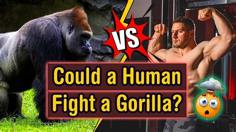 Could a human fight a gorilla?! - YouTube