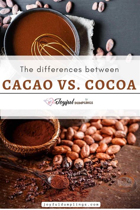 Cacao vs Cocoa – The Real Differences Between Cocoa and Cacao Revealed ...