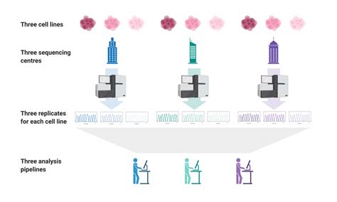 Study shows Canada Genome Centres primed for COVID-19 host sequencing | Genome Sciences Centre