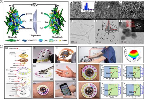 The schematic diagram of a flexible self‐powered glucose biosensor with ...