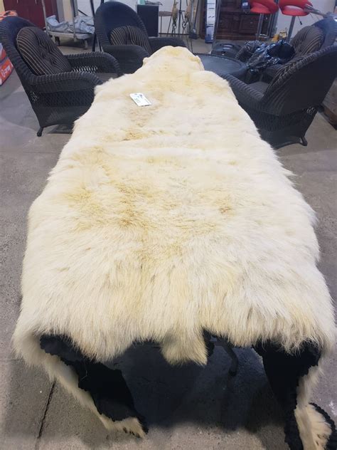 REAL POLAR BEAR RUG WITH PAPERS - Able Auctions