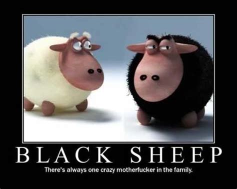 Quotes About Being The Black Sheep. QuotesGram