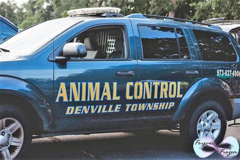 Denville Police Department Hosts National Night Out | TAPinto