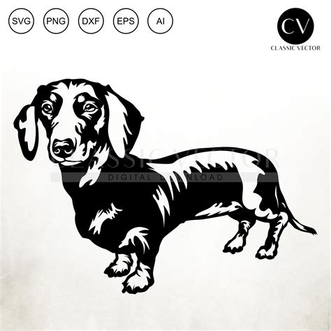 Miniature Dachshund SVG PNG DXF, Dog Vector Clipart Download, Cricut, – Art4youSpace ...