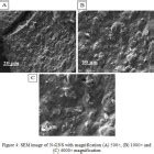 Facile Method to Synthesize of N-Graphene Nano Sheets : Oriental ...