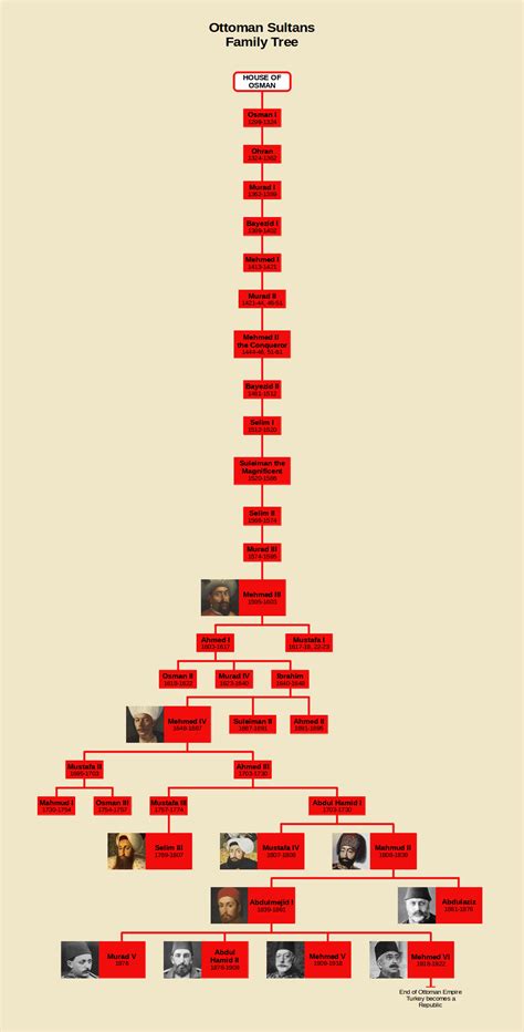 Ottoman Sultans Family Tree : r/UsefulCharts