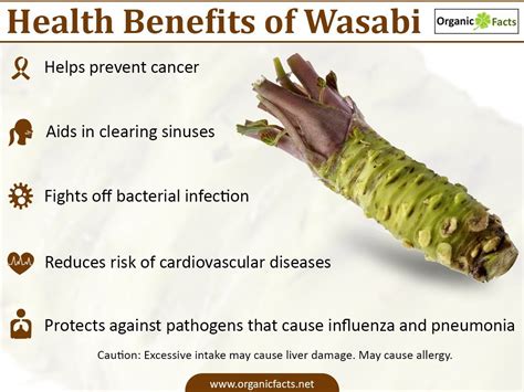 7 benefits of wasabi https://goo.gl/fj5z8a | Cancer prevention, Benefit ...