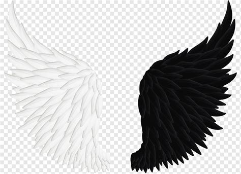 Fallen Angel Black Wings Png - 375 transparent png illustrations and ...