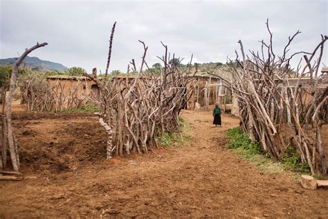 Home to the Maasai: Inside Kenya's Maji Moto community - International Traveller