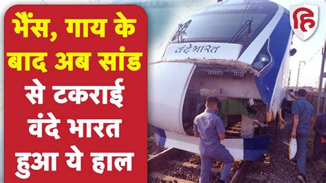 Vande Bharat Express Accident: Gujarat में फिर मवेशी से टकराई वंदे भारत एक्सप्रेस, देखें वीडियो ...