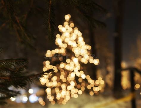 Christmas Tree with Lights Glowing Stock Image - Image of defocused, golden: 81066623