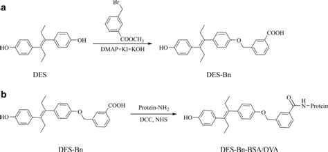 Novel hapten design, antibody recognition mechanism study, and a highly sensitive immunoassay ...