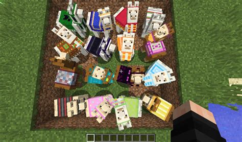 Minecraft All Llama Carpet Colors - Inter disciplina