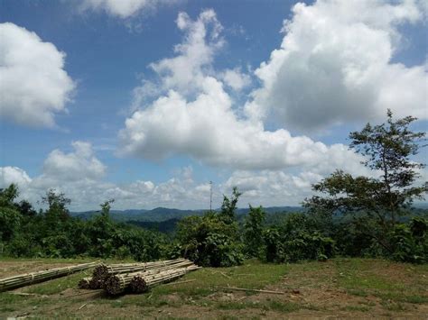 Rakhine mountain, Myanmar | Natural landmarks, Landmarks, Rakhine