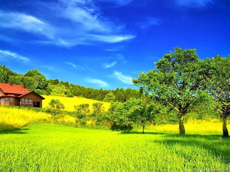 Most Beautiful Green Nature In The World Backgrounds, green world HD wallpaper | Pxfuel
