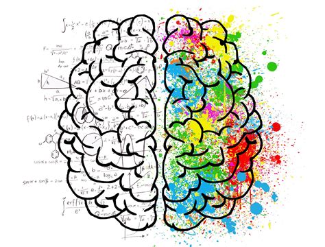 The creative-right vs analytical-left brain myth: debunked! - Dr Sarah McKay