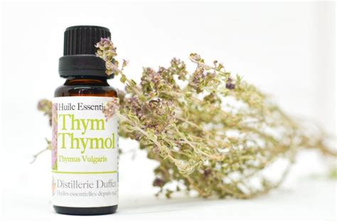 Essential Oil Thyme Thymol Organic - Distillerie Duffez