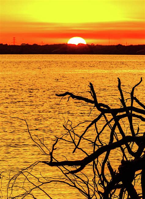 Cedar Hill State Park in Dallas, TX sunset Photograph by David ...