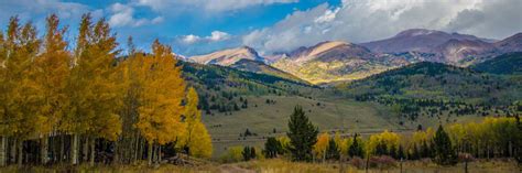 Photos of Colorado Fall Colors in Pike National Forest