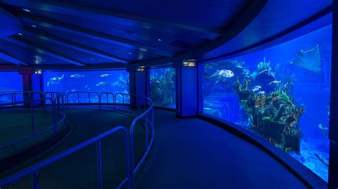 The Seas With Nemo And Friends Ride Epcot