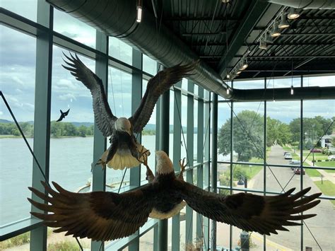 National Eagle Center | Wabasha, Minnesota | Minnevangelist