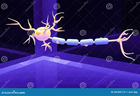 3d Representation Av Ett Neuron Och Dess Delar : Dendrite Nucleus Soma Nerve Som Slutar Med Axon ...