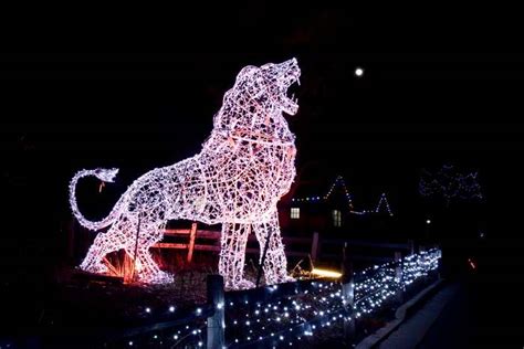 Wild Lights Detroit Zoo 2023/2024