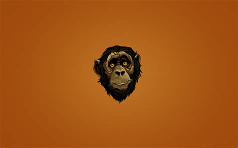 Aggregate more than 85 cool monkey wallpaper best - in.cdgdbentre