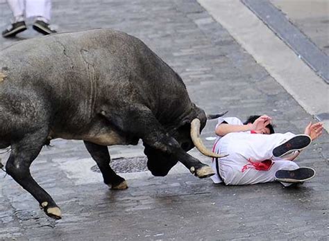 Man dies after being gored by bull at Spanish festival - Sports - Dunya News