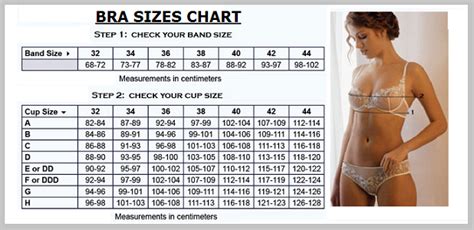 bra sizes diagram – Charts