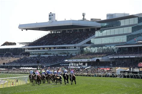 Melbourne Cup 2016: A preview of one of the highlights of the Australian sporting summer