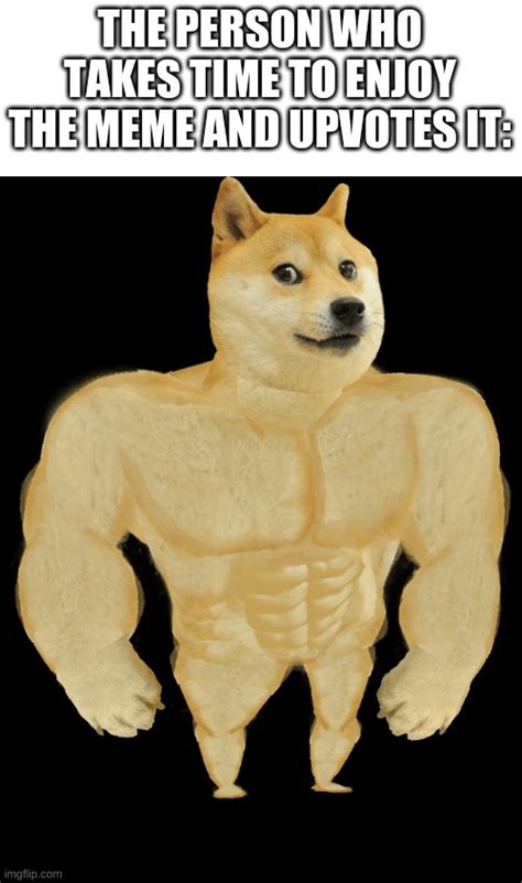 swole doge Memes - Imgflip