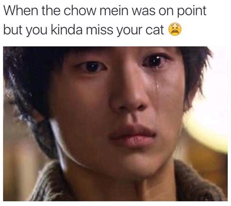 Poor cat - Meme by mclovin0528 :) Memedroid