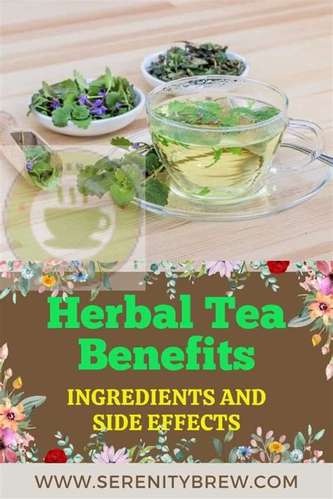 Herbal Tea Benefits: Ingredients and Side Effects - Serenity Brew