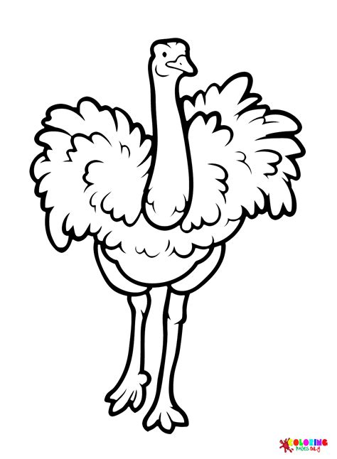 Ostrich Catwalk Coloring Page - Free Printable Coloring Pages