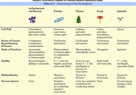 Characteristics of the 6 Kingdoms | Taxonomy, Prokaryotes, Eubacteria